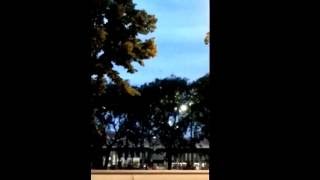 Oggetto Apparso Dal Nulla