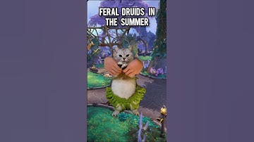 feral druids in the summer #wow #worldofwarcraft #warcraft