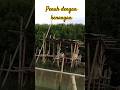 #mancing #angler #mancingmania #barramundi #fishing #ikan #kakap #lombamancing