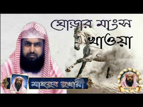 ভিডিও: ঘোড়ার মাংস স্টু রান্না কিভাবে