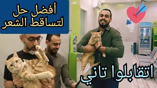 حل مشكلة تساقط الشعر عند القطط