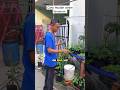 selang air 10 meter #janurinurhidayat #berkebun