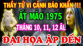 Cảnh Báo Chấn Động Từ Thầy Tử Vi Ất Mão 1975 Tránh N Điều Này 3 Tháng Cuối Năm 2025