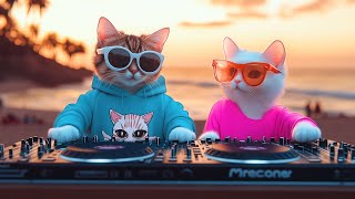 Download Lagu Tropical Sunset Grooves π΄πΎ | Chill House DJ Set with MIAWW \u0026 White Cat Babe MP3 Download Lagu Tropical Sunset Grooves π΄πΎ | Chill House DJ Set with MIAWW \u0026 White Cat Babe MP3