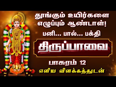 ஆண்டாளின் பேரருளும் & நாராயணனின் இனிமையும்! | திருப்பாவை - பாசுரம் 12 | எளிய விளக்கம்