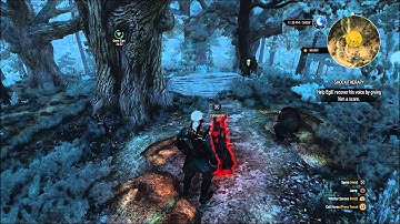 Shock Therapy Quest - The Witcher 3