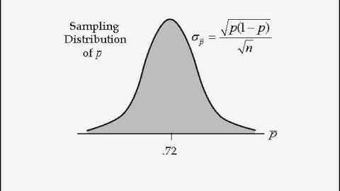 Business Statistics lecture 7 -- Sampling Distribution