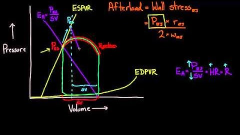 01   Changing the PV loop   07   Arterial elastance Ea and afterload
