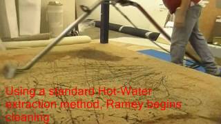 After bringing the smartstrand carpet back to store, we had it
professionally cleaned.