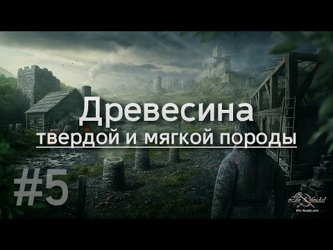 Life is Feudal - #5 / Типы древесины. Древесина мягкой и твердой пород