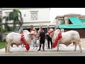 Mehak Kajal and Camel for Qurbani Eid 2021 in Lahore - Bakra Mandi Pakistan