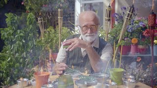 Mortein - Louie Bugs Alfred