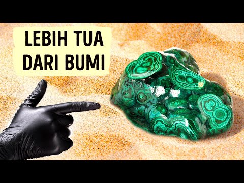 Video: Bagaimana batu coquina terbentuk?