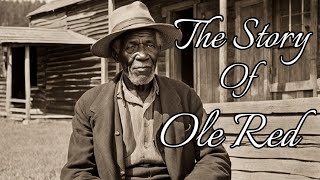 The Story Of Ole Red #appalachian #story #documentary