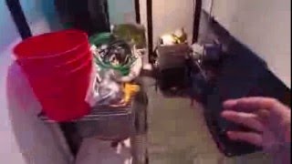 Vlog Working on West Flower Room
