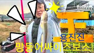 구독자  대짜 망둥어는 책임지는 포인트!! 강화도산 용진진 맛난 망둥어구이/ #낚시캐스팅준비과정샷!!