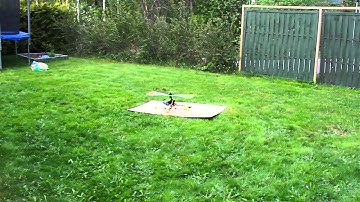 RC FLIGHT ESKY BELT CP V2 BEGINNER HOVERING 1ST