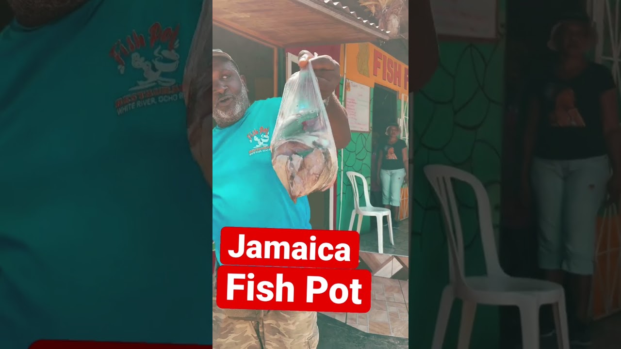 Fresh Fish From The Market One Of The In Jamaica Fish Pot Chef Ricardo fresh-fish-from-the-market-one-of-the-in-jamaica-fish-pot-chef-ricardo