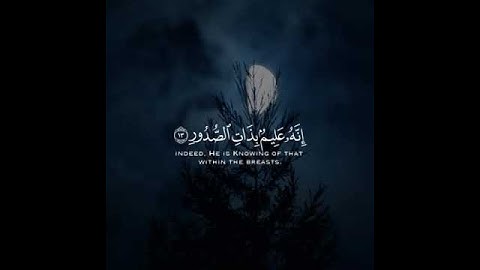 القارئ حسام الدين عبادي /سورة الملك