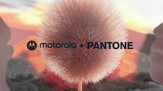 Meet the new motorola devices in the Pantone Color of the Year 2024, Peach Fuzz.
