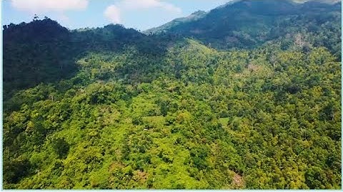 Cloudpath – Peaceful Mountain Journey | Relaxing Ambient Music & Nature Sounds