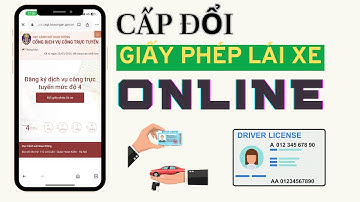 Hướng dẫn CẤP ĐỔI GIẤY PHÉP LÁI XE online