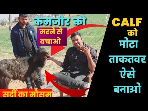 वीडियो: कटलरी का उपयोग कर अपने बच्चा पाने के 8 तरीके