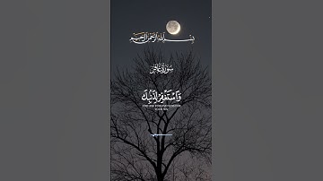 القرآن الكريم.. عبد الباسط عبد الصمد.. سورة غافر #لايك #دويتو #ترند #اكسبلور #duet