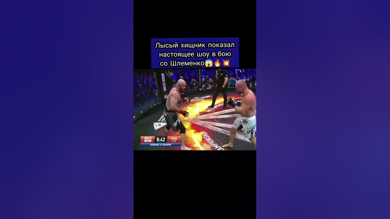Шлеменко шорты ММА