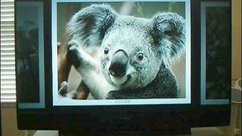 Cool screensaver in WMC