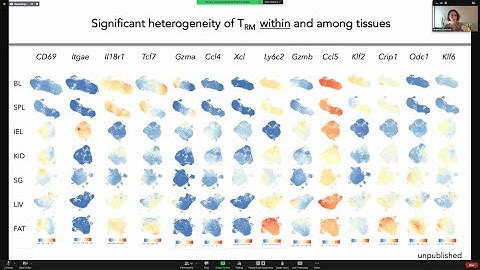 Transcriptional regulation of CD8 T cell responses to pathogens and tumors by Dr. Ananda Goldrath