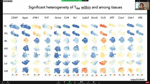 Transcriptional regulation of CD8 T cell responses to pathogens and tumors by Dr. Ananda Goldrath - DayDayNews