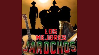 Video thumbnail of "Jarocheando - El Son De Veracruz"