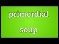 Primordial soup Meaning