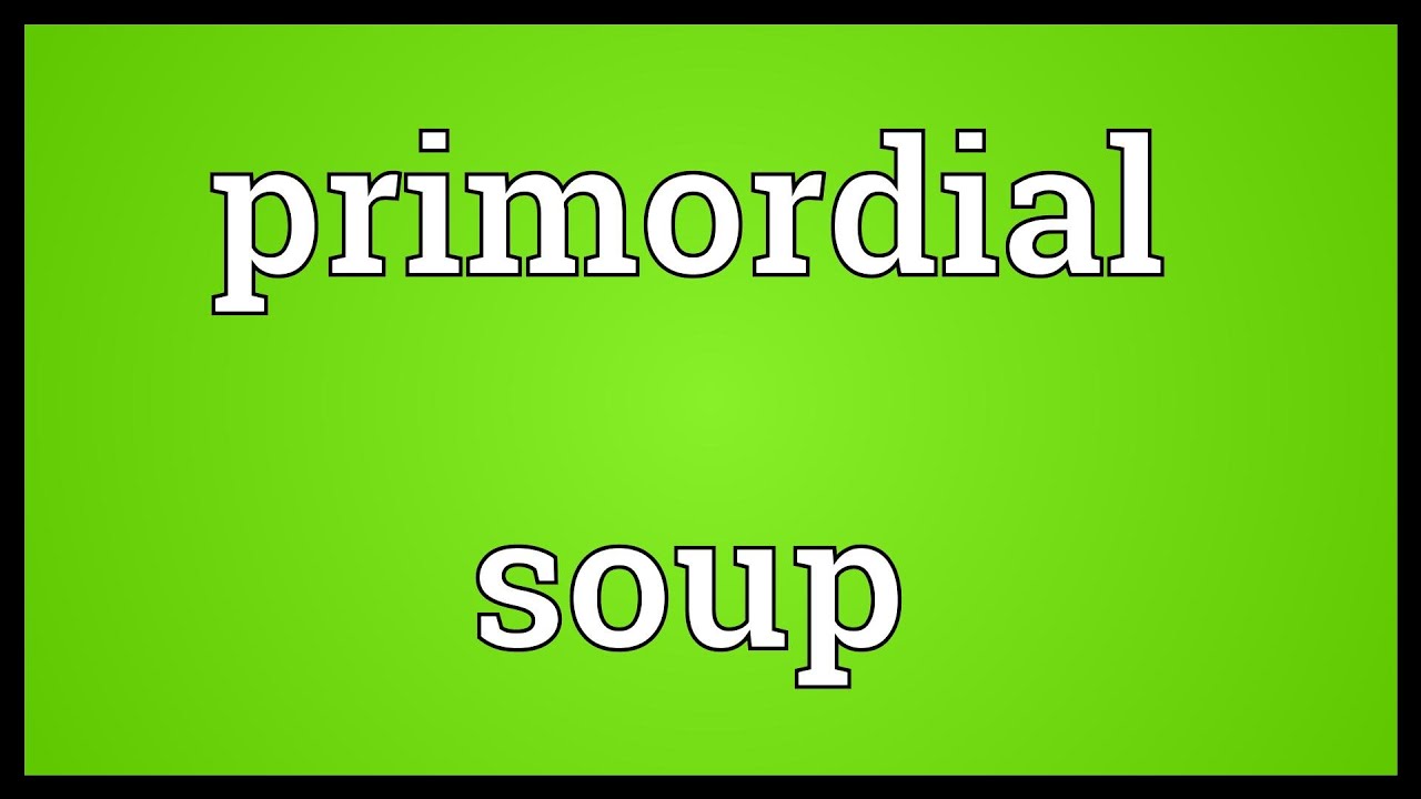 Primordial soup Meaning - YouTube