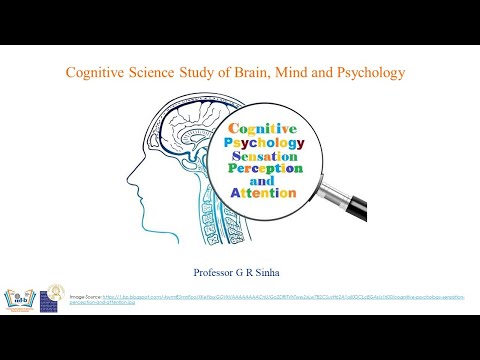 Cognitive Science Study