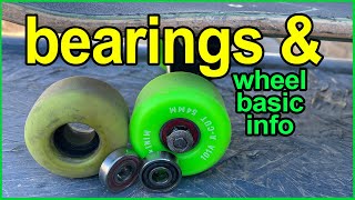 WHEELS AND BEARINGS: What You Should Know (Tips & Tricks For Skateboarding)