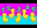 Canción de los CINCO PATITOS! 🦆 | Canciones Infantiles | Groovy el Marciano