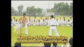 Enshin Karate