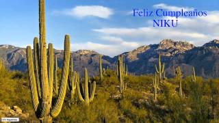 Niku  Nature & Naturaleza - Happy Birthday
