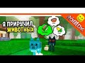 Гайд на обнову в 99 ночей в лесу!Приручение животных!!!(Roblox)