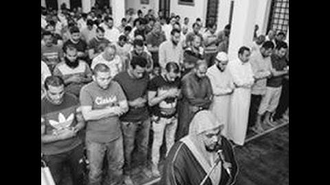 من الاية 23 : 25 ماتيسر من سورة ابراهيم