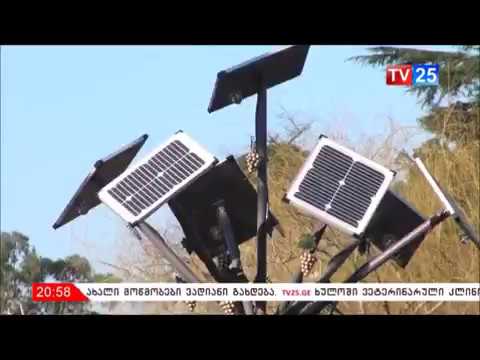 მზის \"ხე-ვაზი\"  ფოტოელექტრული პანელებით ქ. ბათუმის 6 მაისის პარკის გარე განათებისთვის