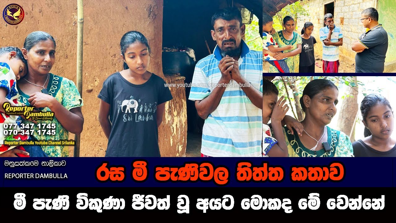 මී පැණි විකුණා ජීවත් වෙන අයට මොකද මේ වෙන්නේ || Reporter Dambulla || Kumara Ihalagedara ||