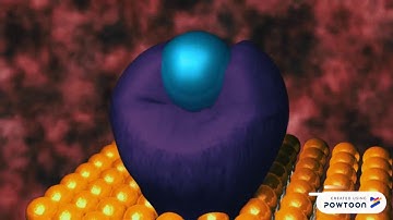 two component system