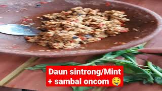 Daun sintrong+sambal Oncom 🤤 #anak #baby #shorts #mukbang #sambalpuri by Bulux Channel 6 views 1 year ago 25 seconds