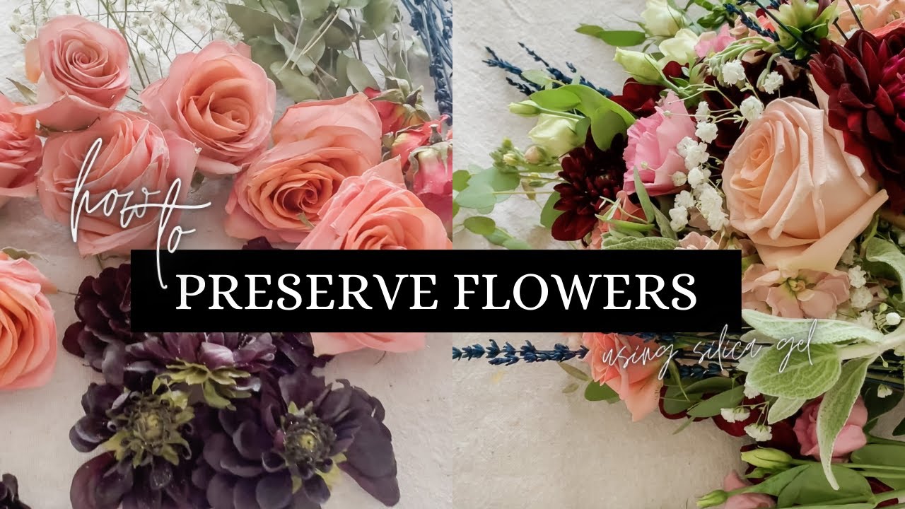 soil + soul studio  Wedding bouquet preservation, How to preserve