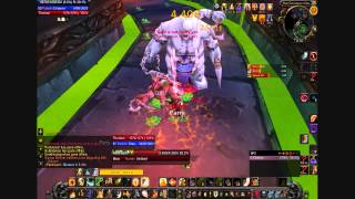 80 pally Patchwerk solo