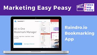 Overview of Raindrop.io Bookmarking App screenshot 1