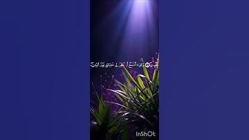 سورة الشعراء (78-86) للقارئ إسلام صبحي